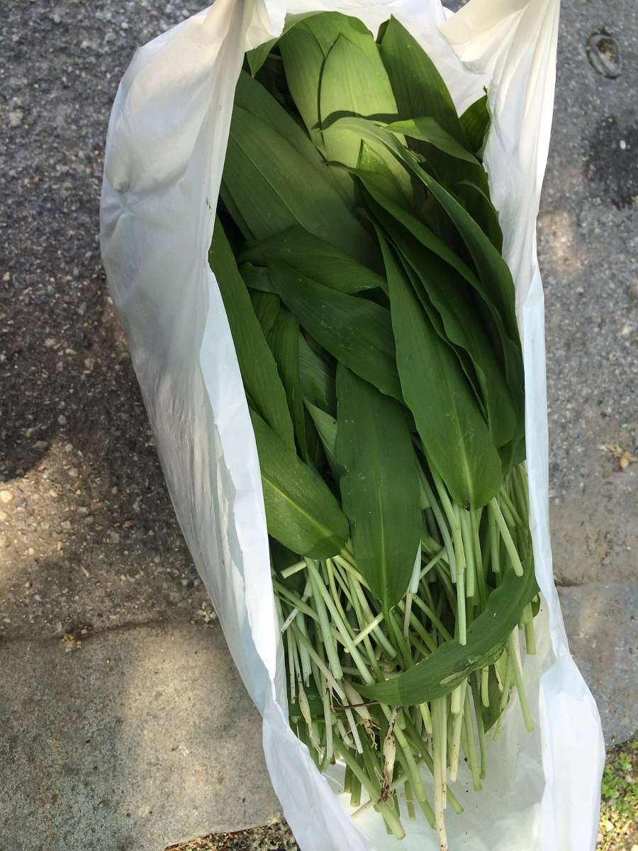 2014-04-30 13-34-36.JPG